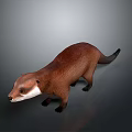 Detailed Realistic Brown Otter With White Chest Standing on Gray Background