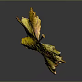 Vibrant Yellow Maple Leaf With Detailed Veins And Tattered Edges On Gray Background With Reflection