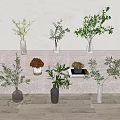 Decorative Indoor Vases with Green Plants Colorful Flowers on Steps White Wall Wooden Floor