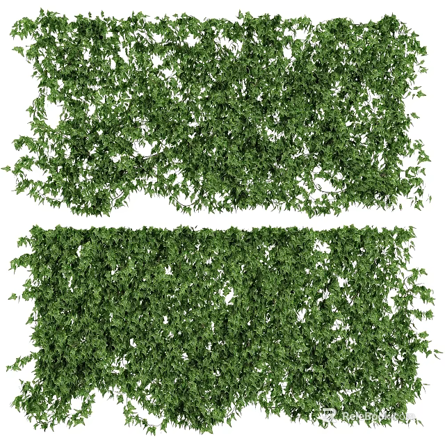 Lush Green Ivy Plants Dense Foliage For Natural Decorative Wall Covering 3d model 