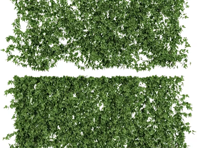Lush Green Ivy Plants Dense Foliage For Natural Decorative Wall Covering 3d model
