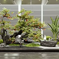 Indoor Natural Landscape Design With Decorative Tree Stones Lantern And Green Plants