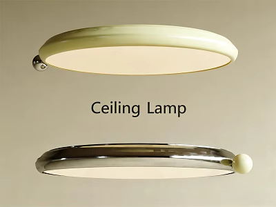 Modern Ceiling Lamp With Cream And Silver Circular Design For Interior Lighting 3d model