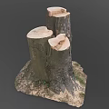Natural Wood Tree Stumps With Cut Surfaces And Soil Base Details 3d model