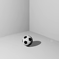 Classic Black And White Soccer Ball High Quality Sports Equipment For Training And Matches