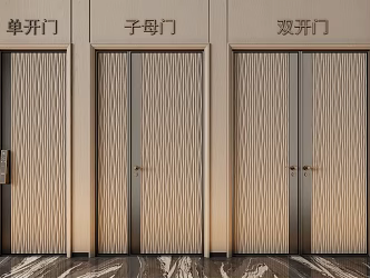 Modern double door entry door bedroom door 3d model