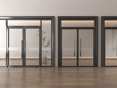Modern Swing Doors With Glass Panels Black Metal Frames In Contemporary Interior Home Living Space 3d model