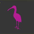 Red bird with long beak standing on smooth black surface against gray gradient background