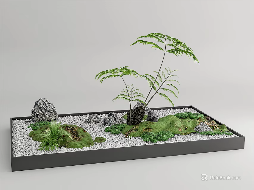 Miniature Garden Arrangement With Green Ferns Rocks Moss And White Pebbles 3d model 