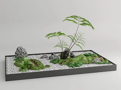 Miniature Garden Arrangement With Green Ferns Rocks Moss And White Pebbles 3d model