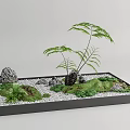 Miniature Garden Arrangement With Green Ferns Rocks Moss And White Pebbles