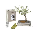 Stylish Decorative Ornament Arrangement with Books Vase Green Branches White Candles and Green Pears