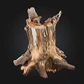 Natural Stone Wood Stump Art Piece With Detailed Root Structure And Textured Surface