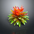 Vibrant Tropical Plant With Red And Green Rosette Leaves