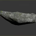 Wood And Stone Natural Decorative Material With Irregular Shape Green Veins And Textured Surface