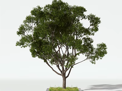 Arbor With Lush Green Leaves And Grass Base On White Background 3d model