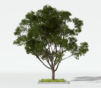 Arbor With Lush Green Leaves And Grass Base On White Background 3d model