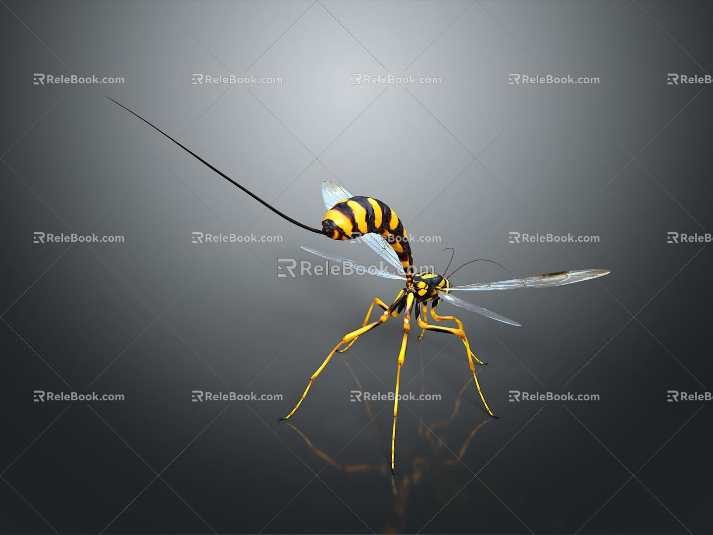 Mosquito Cartoon Mosquito Cartoon Insect Monster Monster Cartoon Monster Monster Cartoon Monster 3d model