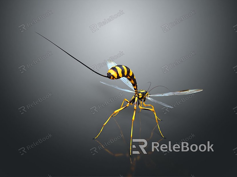 Mosquito Cartoon Mosquito Cartoon Insect Monster Monster Cartoon Monster Monster Cartoon Monster model