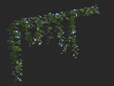 Lush Trailing Vining Plants With Green Leaves And Blue Flowers For Home Garden Decor 3d model