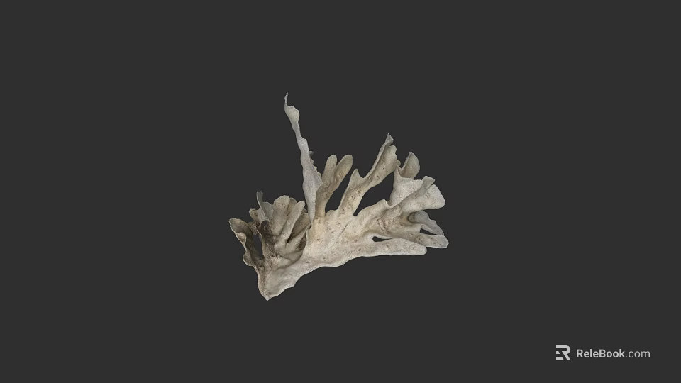 Detailed Botanical Plant Artwork With White Intricate Structure On Gray Background 3d model 