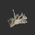 Detailed Botanical Plant Artwork With White Intricate Structure On Gray Background