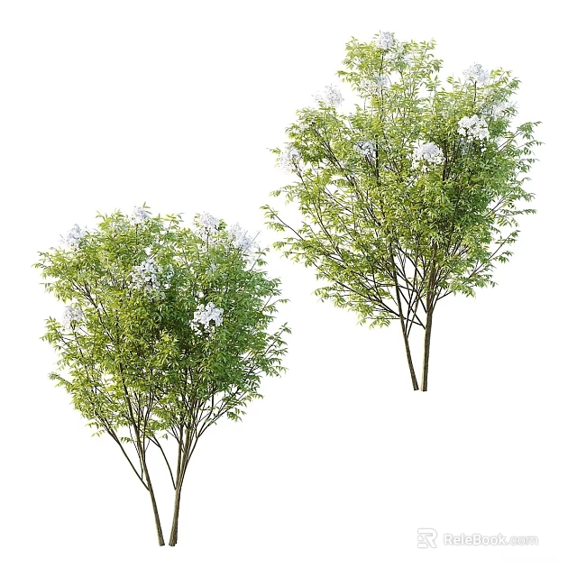 Tree Planter with Two Trees Featuring Green Leaves and White Flowers in Landscape 3d model 