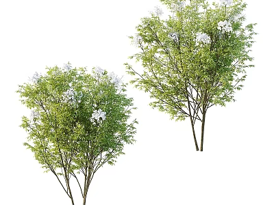 Tree Planter with Two Trees Featuring Green Leaves and White Flowers in Landscape 3d model