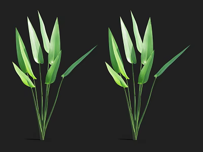 Healthy Aquatic Plants With Green Leaves Slender Stems And Natural Look 3d model