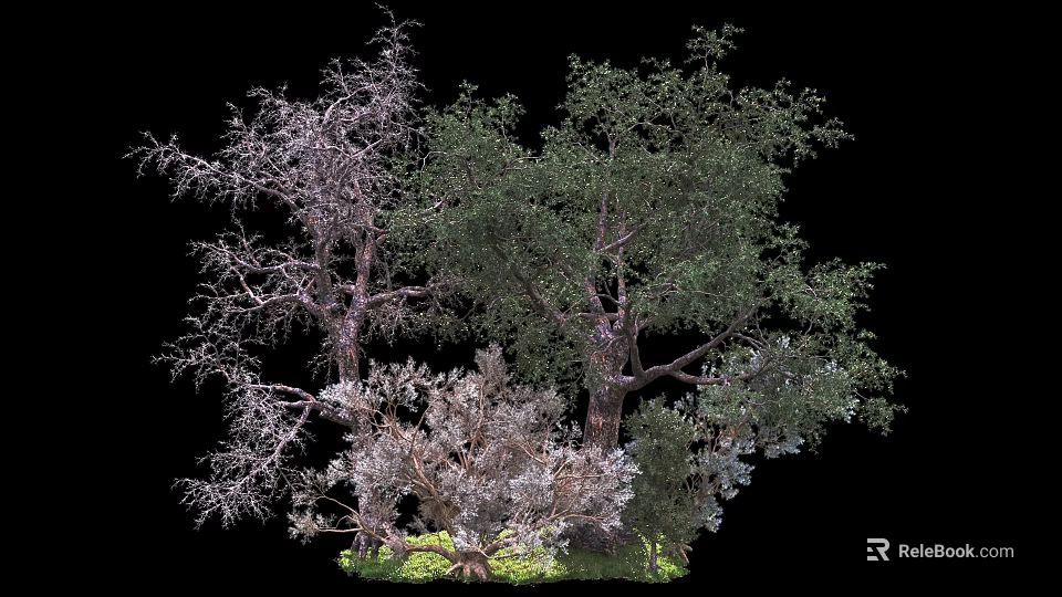 Various Trees Featuring Green Leaves Bare Branches and Trunk Details with Natural Ground Cover 3d model 