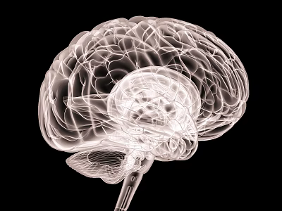 Advanced Medical Imaging Device For Brain Structure Visualization With 3D Technology 3d model