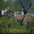 Lush Trees in Natural Landscape with Blue Sky Large Rocks Ferns and Green Vegetation