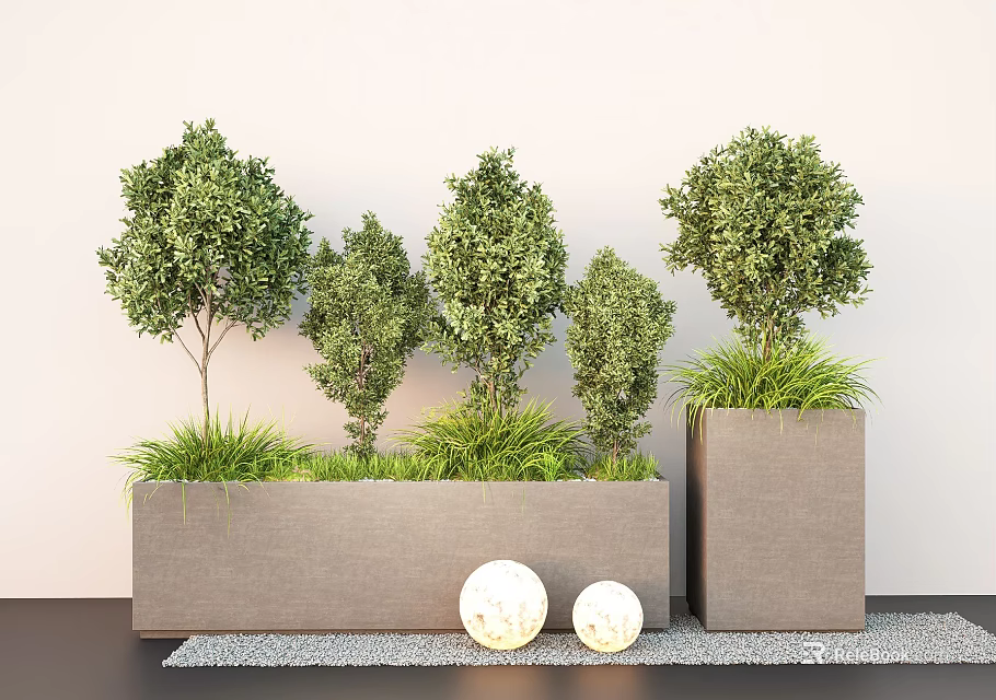 Plant Combination with Various Sized Shrubs Grasses in Grey Rectangular Planters and White Spherical Decorations 3d model 