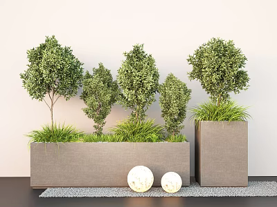 Plant Combination with Various Sized Shrubs Grasses in Grey Rectangular Planters and White Spherical Decorations 3d model