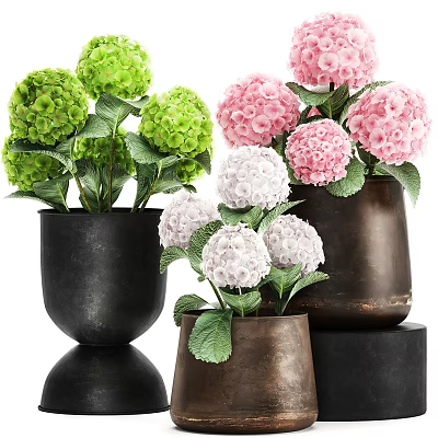 Modern Vase Greenery Plant Hydrangea Flower Pot Garden Landscape Flower Flower Flower Flower Flower Flower Blossom 3d model