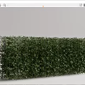 Living Plant Wall With Lush Green Foliage For Indoor Decorative Design