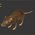 Cartoon Mouse Animated Mouse Grey Mouse Anime Mouse Cartoon Character 3d model