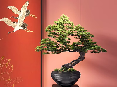 Bonsai Tree With Curved Branches In Black Pot On Red Background With White Cranes 3d model