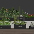 Stylish Indoor Potted Plants With Green Foliage Colorful Blooms And Cactus In Black Planters