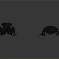Two Black Insects Displayed with Distinct Body Shapes on Gray Background 3d model
