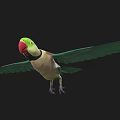 Green Parrot With Spread Green Wings And Red Beak On Black Background