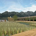 Scenic Rural Landscape With Vast Rice Field Distant Mountains And Wooden Veranda Under Blue Sky