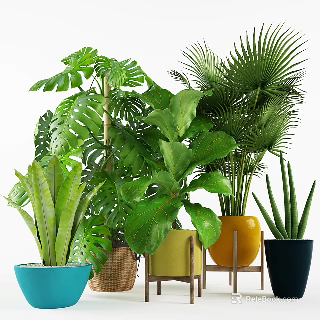 Indoor Potted Plants Decor with Various Green Plants Colorful Pots and Wooden Stands 3d model 
