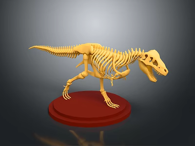 Detailed Standing Yellow Tyrannosaurus Dinosaur Skeleton Exhibition Model On Red Base 3d model