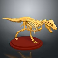 Detailed Standing Yellow Tyrannosaurus Dinosaur Skeleton Exhibition Model On Red Base