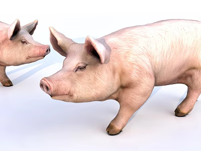 Two Pink Reptiles Standing On White Background With Smooth Skin Texture 3d model