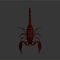 Realistic Detailed Vibrant Red Scorpion With Large Pincers Segmented Body And Curved Tail