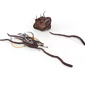 Irregular Brown Organ Mass and Slender Hair Like Fibers with Twisted Thread Structures