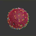 Medical Device 3D Viral Model With Red Blue Protrusions For Medical Education