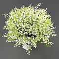 Transparent Vase With Lily of the Valley Flowers Brown Ribbon And Love Tag Decoration